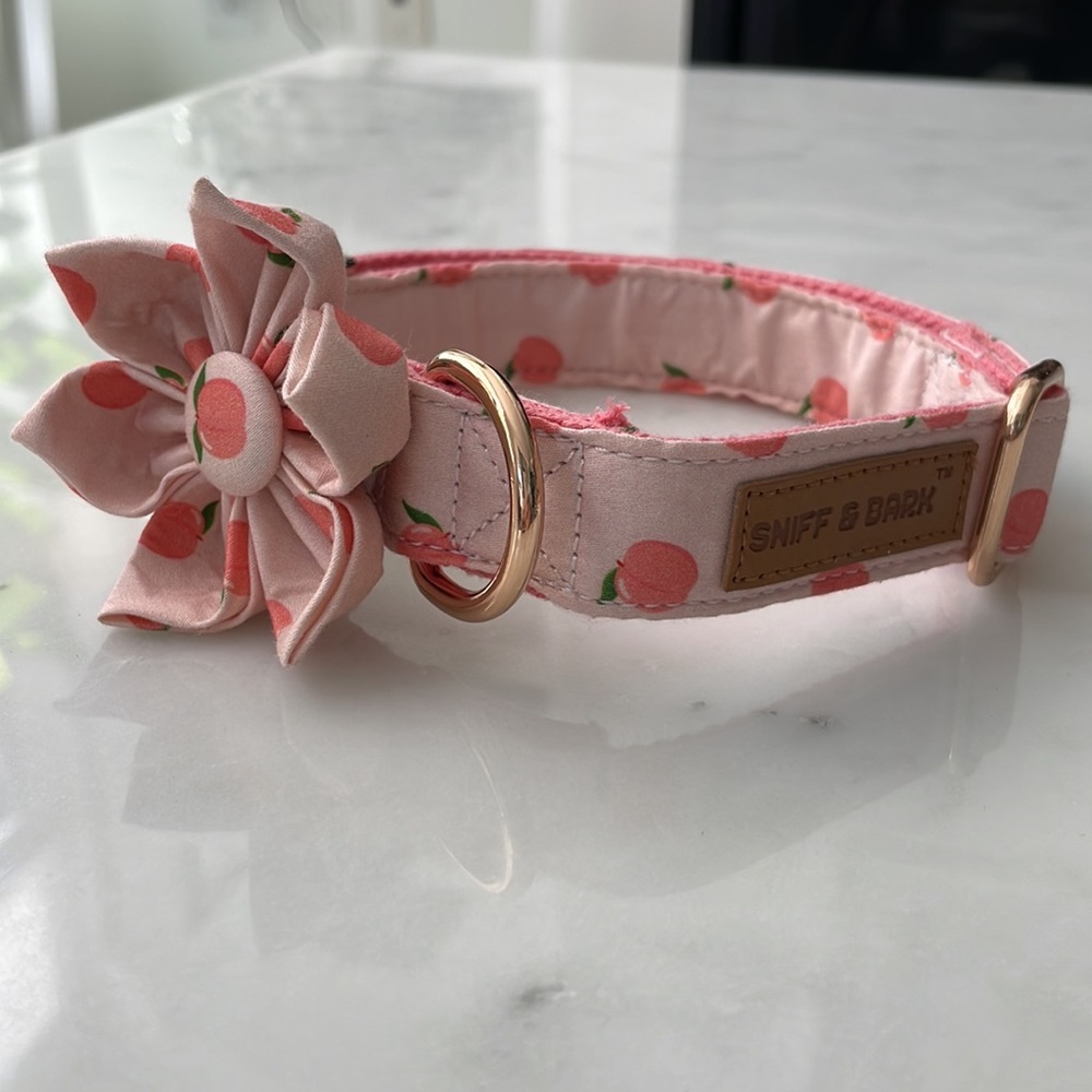 Sniff & Bark dog collar | MEDIUM | Peach print w/ removable flower & bow | NEW